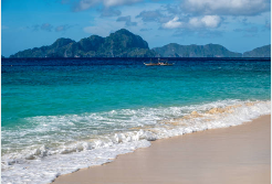 필리핀 이트래블 작성