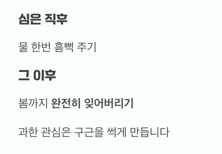심고 난 후, 최고의 관리는 무관심