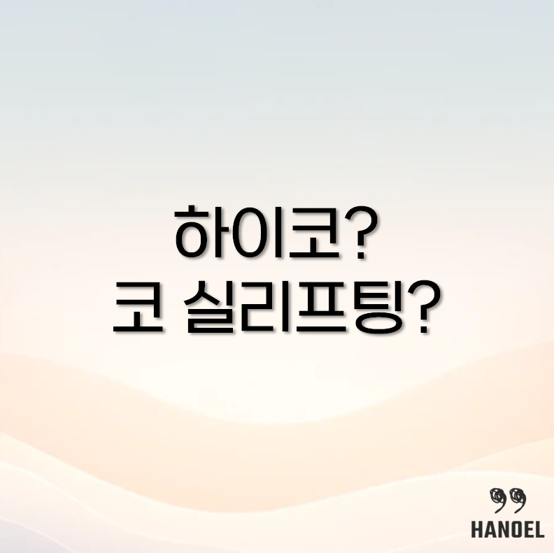 하이코