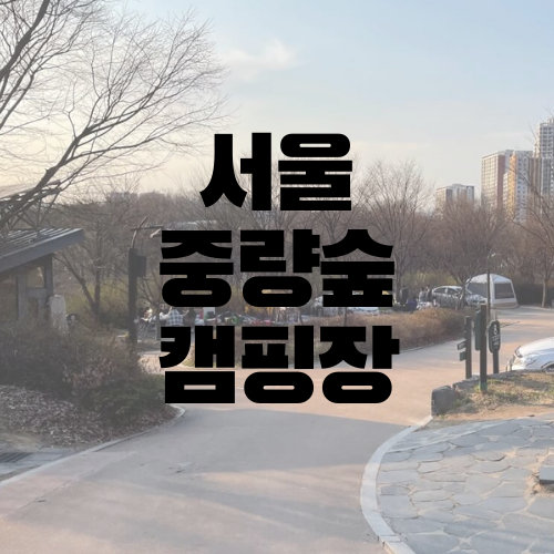 서울 중랑숲 캠핑장