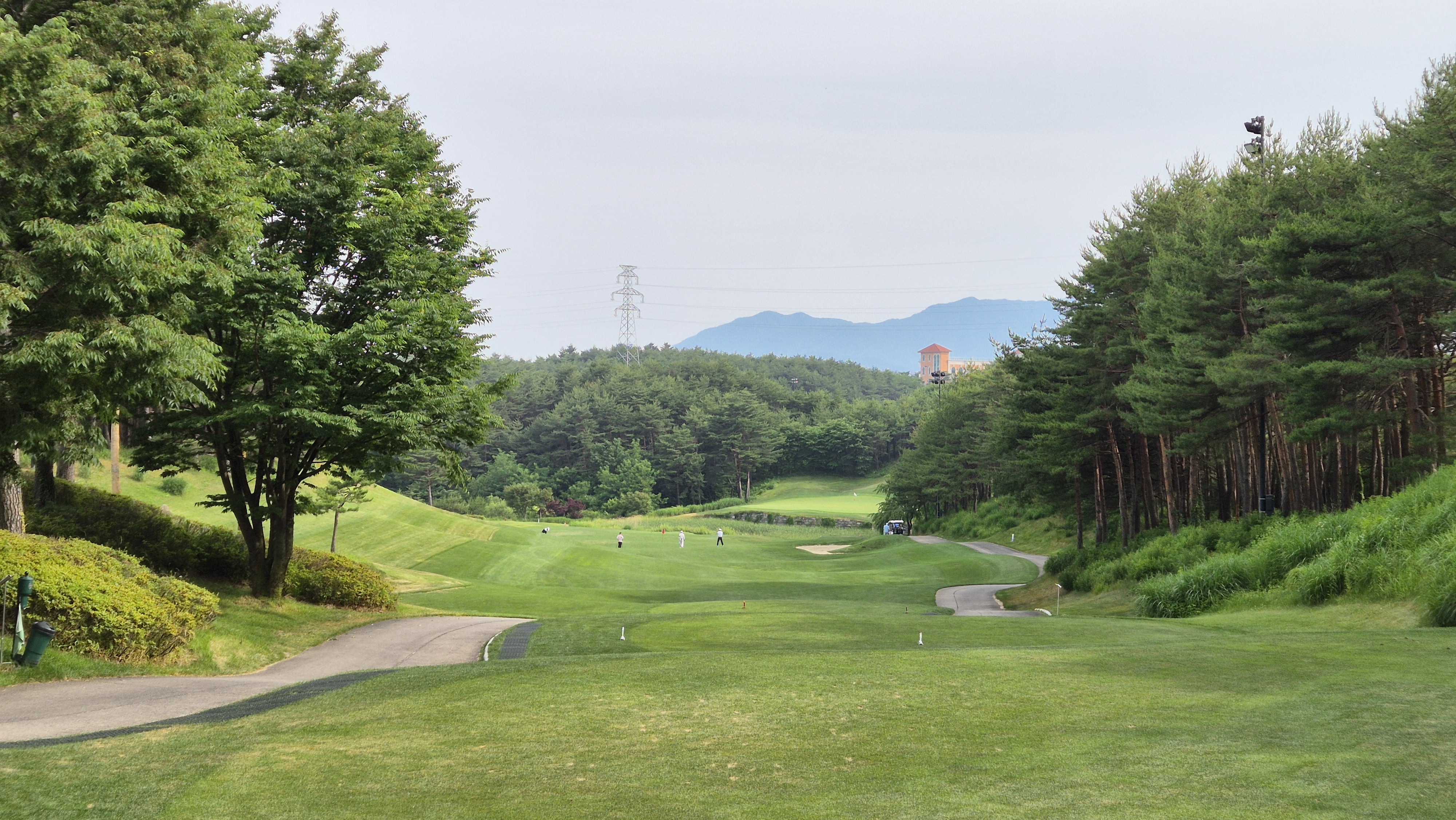 파인리즈cc 후기 및 코스사진