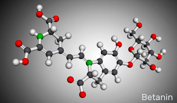 베타 레인 효능