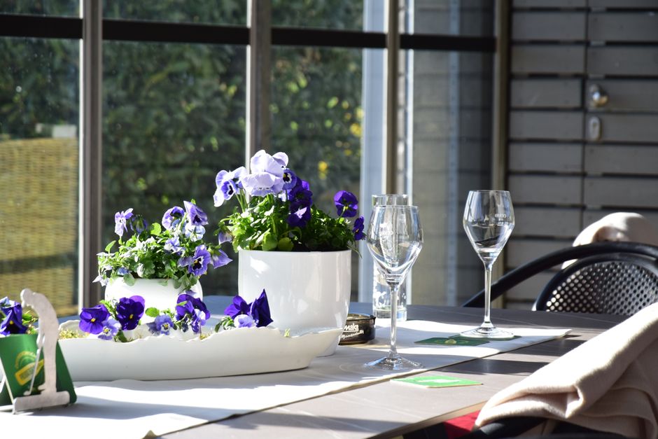 A sunlit indoor table setting featuring vibrant purple flowers in white pots alongside glasses and menus.