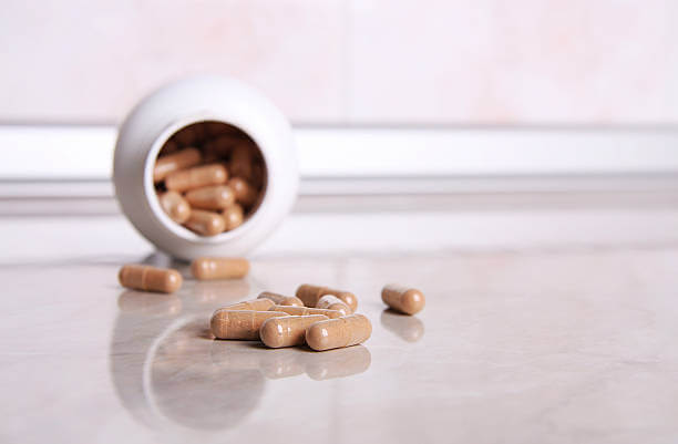 장 건강 영양제 Best 5! 장 건강에 진심인 당신을 위한 선택!