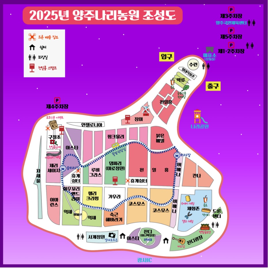 양주 나리농원 천일홍축제