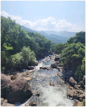 의신베어빌리지