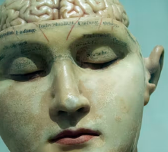 뇌졸중에 좋은 음식 영양제 식단