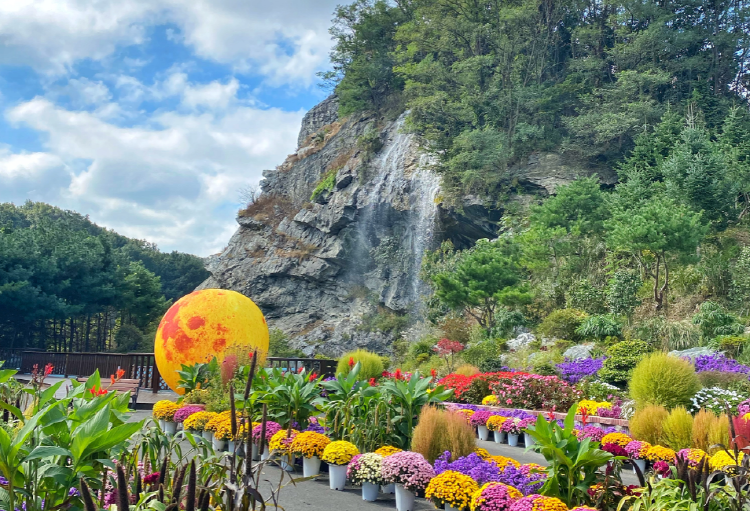 피나클랜드 수목원