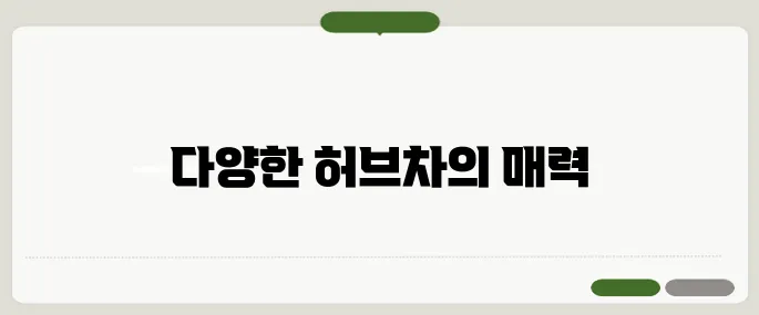 카페인 없는 차 종류와 효능
