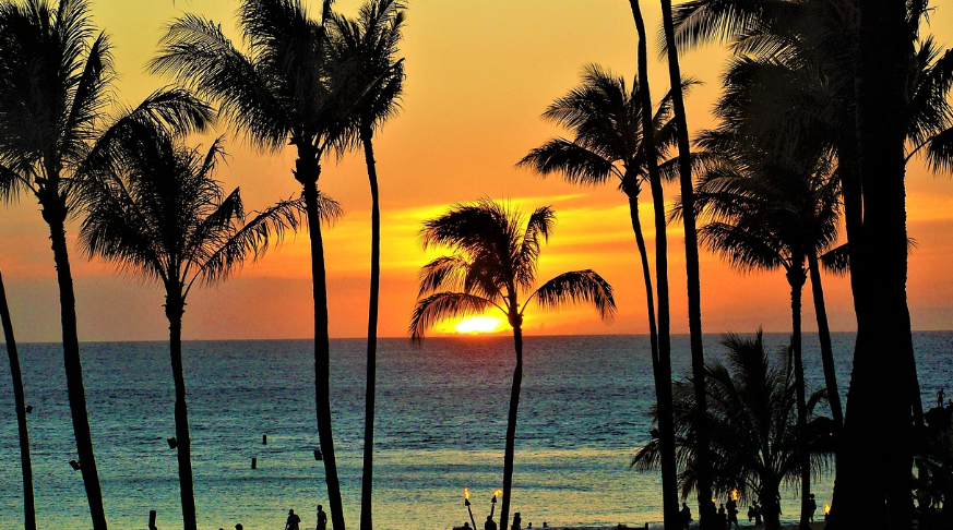 겨울 해양 리조트 비교: 몰디브, 세이셸, 하와이