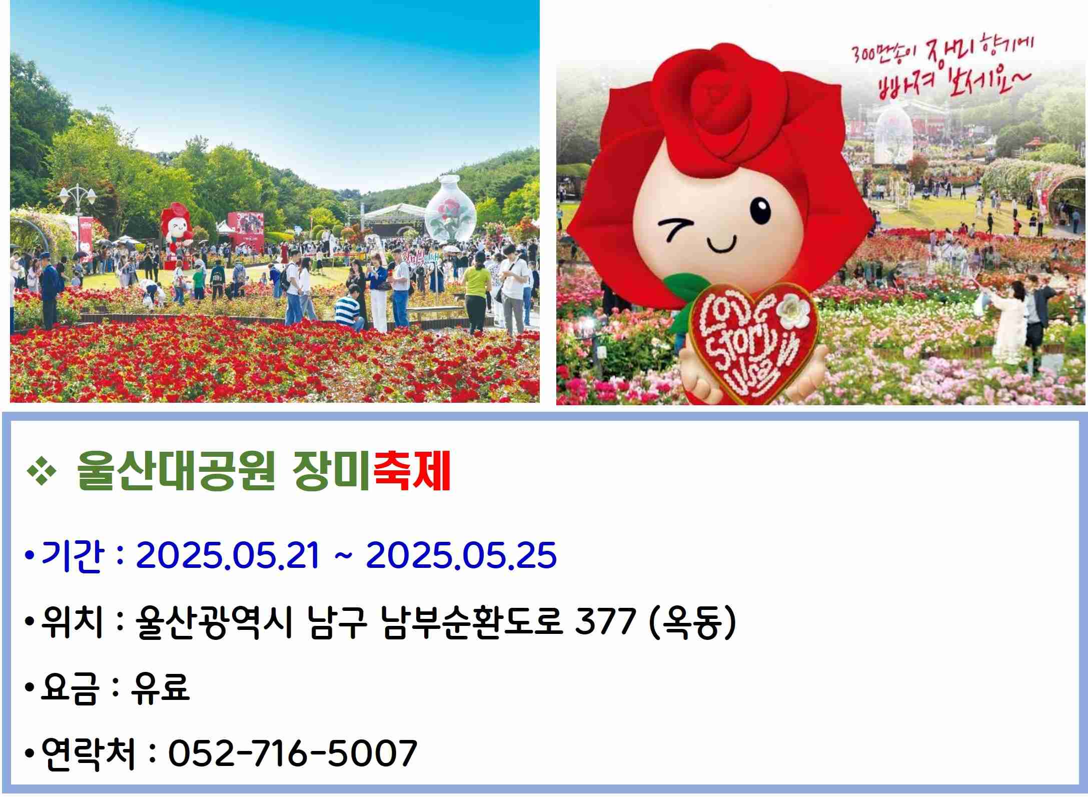 울산대공원 장미축제