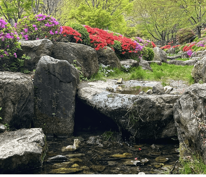 분홍꽃-보라색꽃-계곡-바위