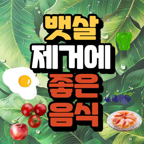 다이어트에 도웅이 되는 식이섬유 음식