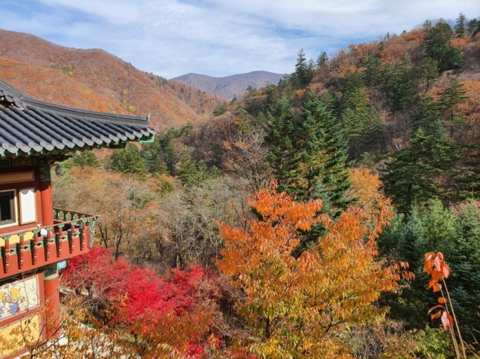 가을 단풍 명소