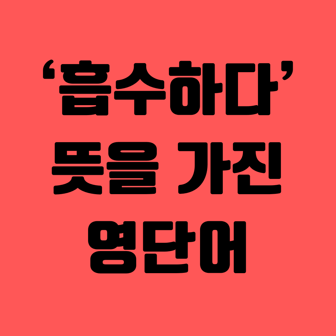 기적의영단어공부-흡수하다