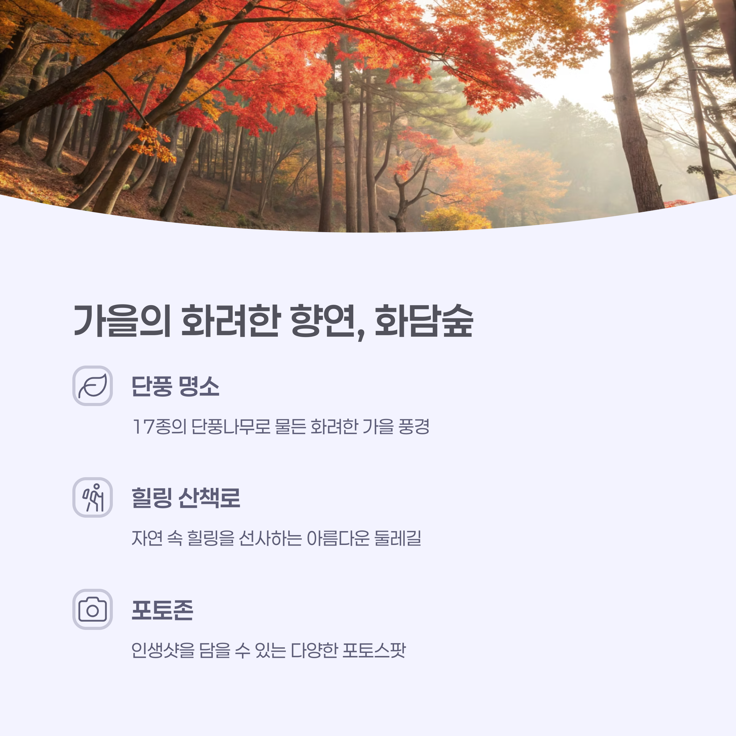 화담숲의 아름다운 가을 단풍