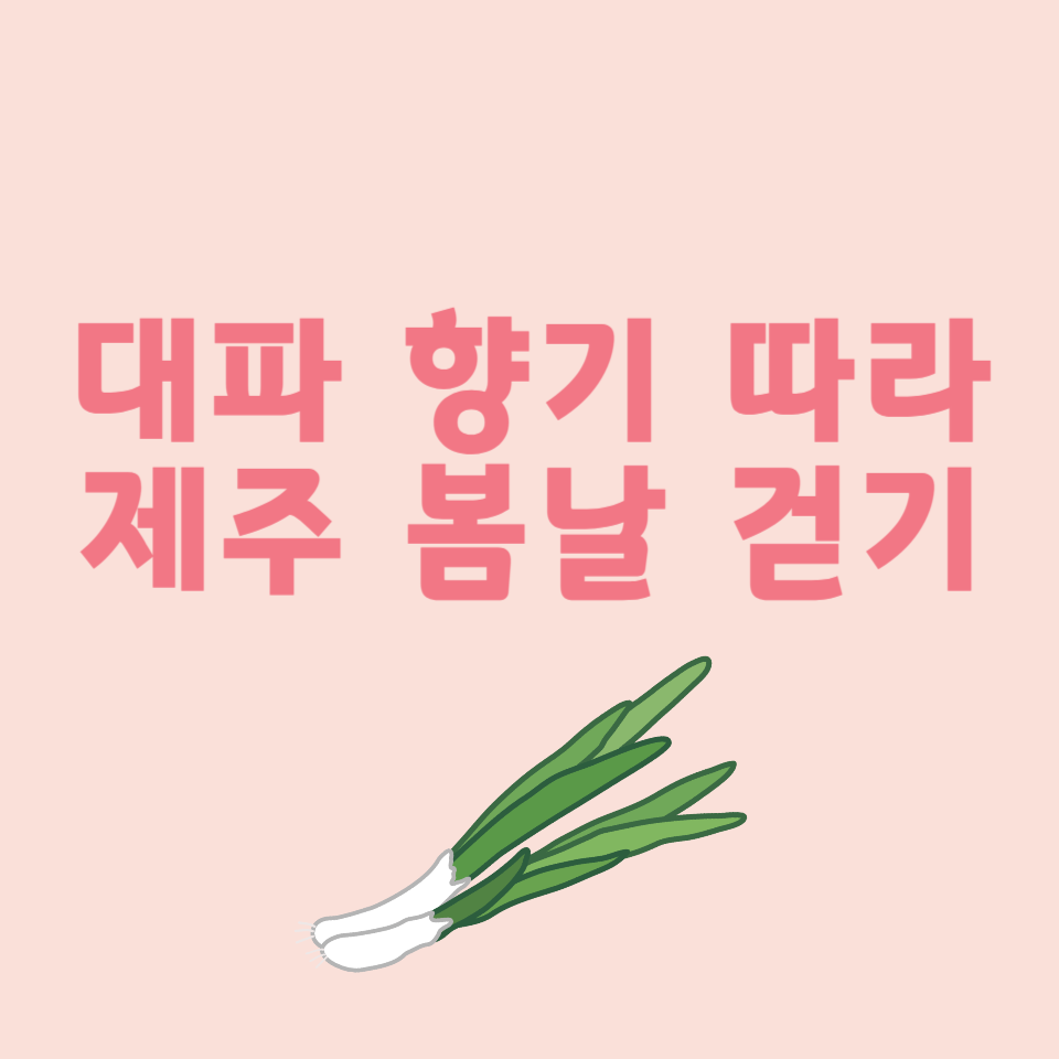 제주 보롬왓 대파축제 2025