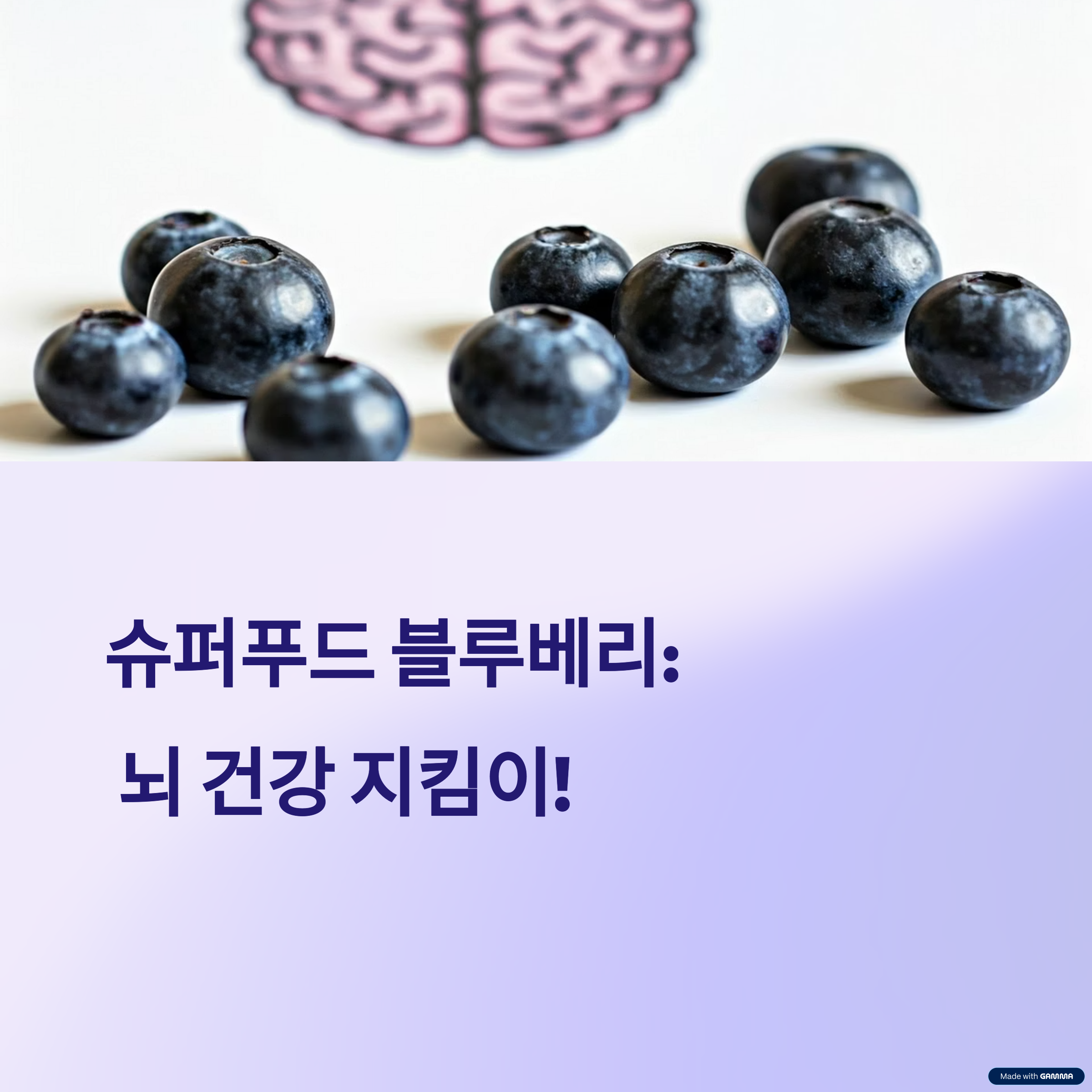 블루베리 하루 50g 치매예방에 진짜 효과 있을까?