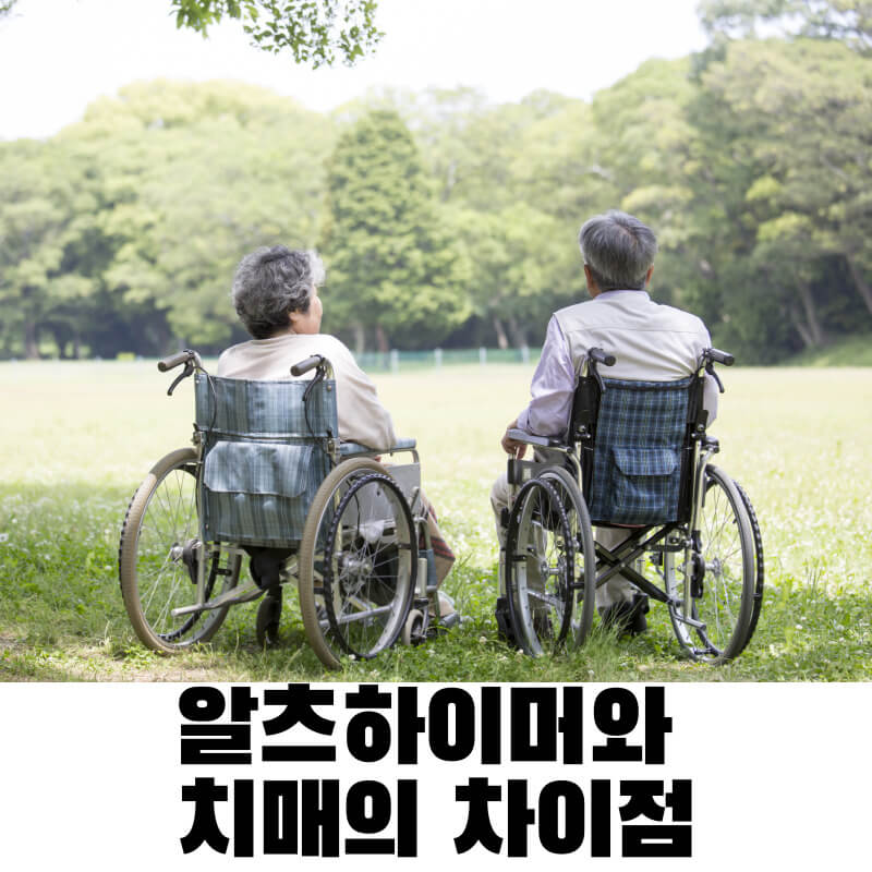 알츠하이머와 치매의 차이점