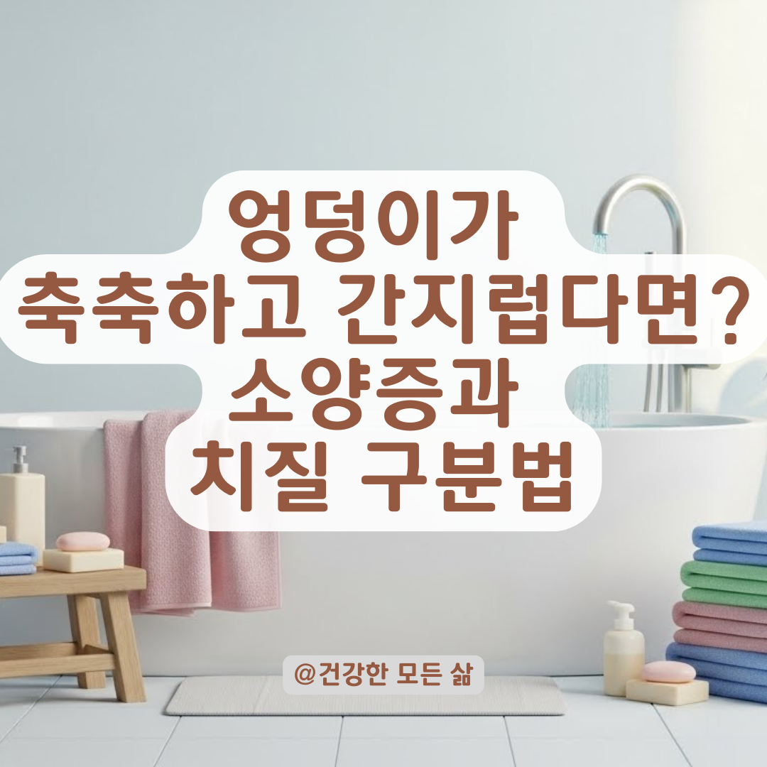 엉덩이가 축축하고 간지러워요! 항문 소양증 vs 분비물 구분과 2030 치질 관리법