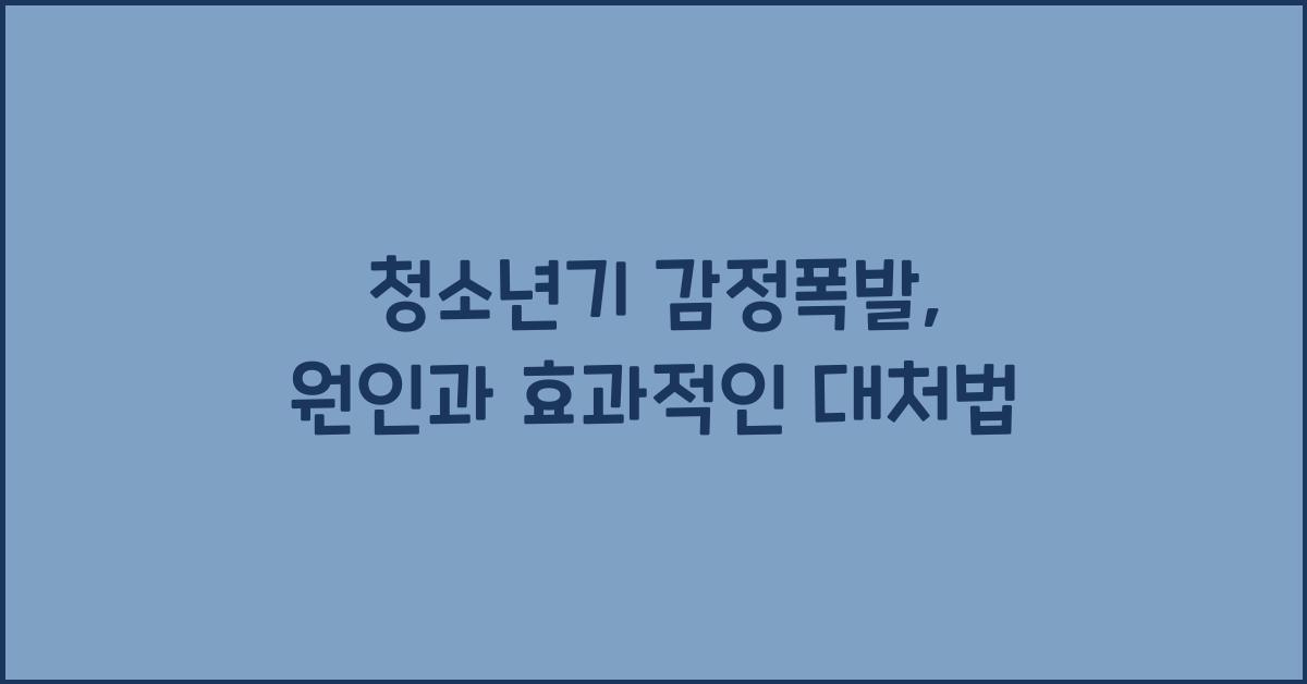 청소년기 감정폭발