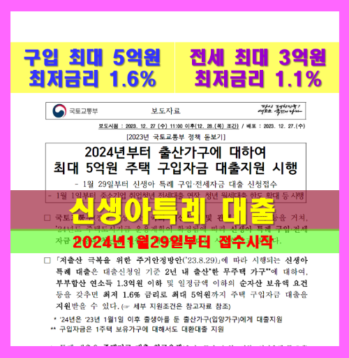 신생아특례제도 확정 발표