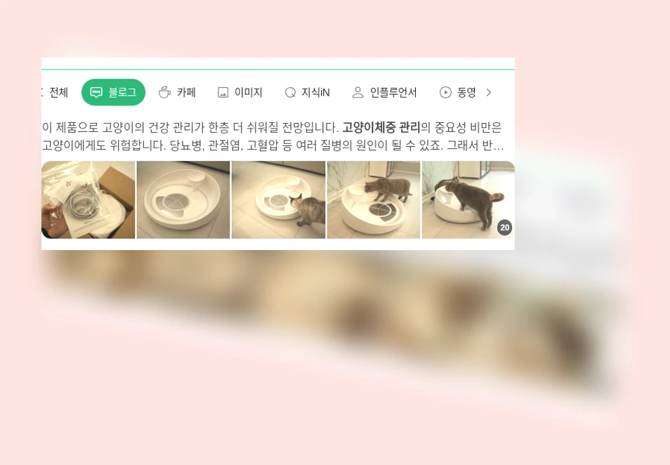 고양이 체중 관리_4