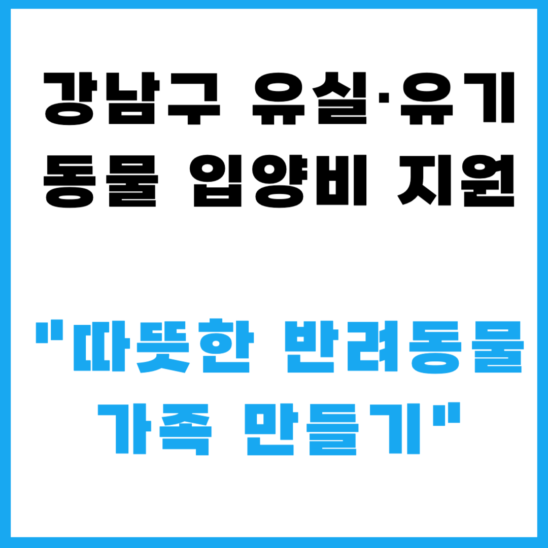 강남구 유실·유기동물 입양비 지원 ㅣ 따뜻한 반려동물 가족 만들기