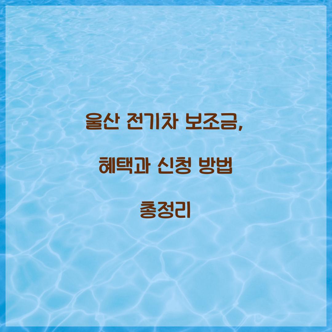 울산 전기차 보조금