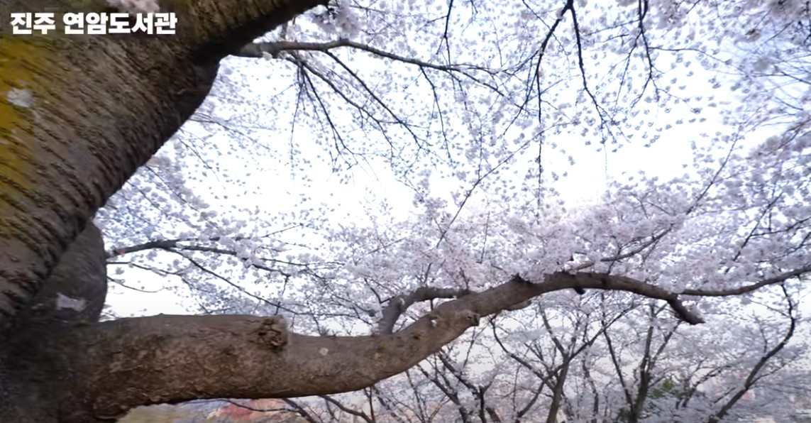 남도 여행지