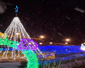 고니골 빛축제_22