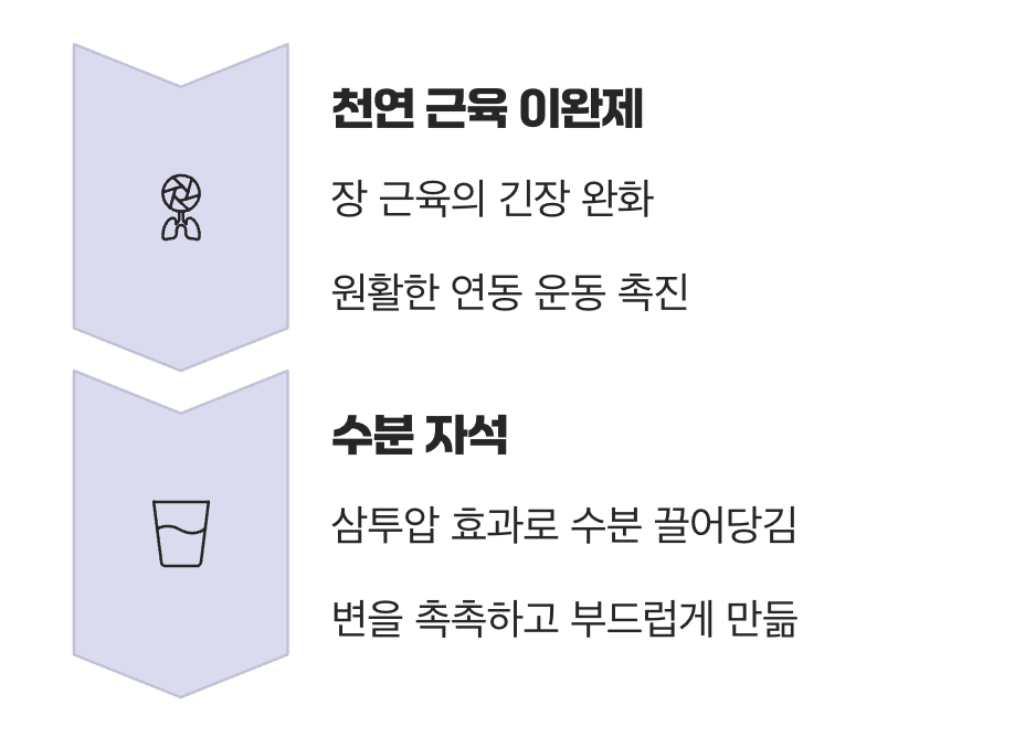 장을 움직이는 부드러운 열쇠&amp;#44; 마그네슘