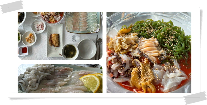 전현무계획2 강릉 짬뽕물회 자연산모둠회 후기