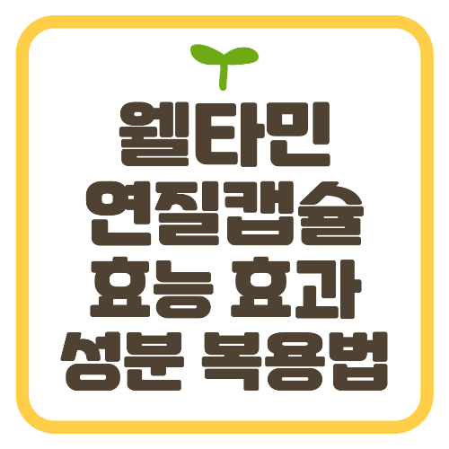 웰타민 연질캡슐 효능 효과 가격 성분 복용법