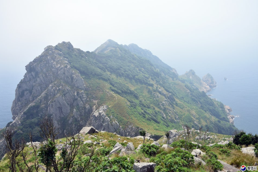 수국이 피는 바다 마을, 욕지도 수국 명소 완전 정리