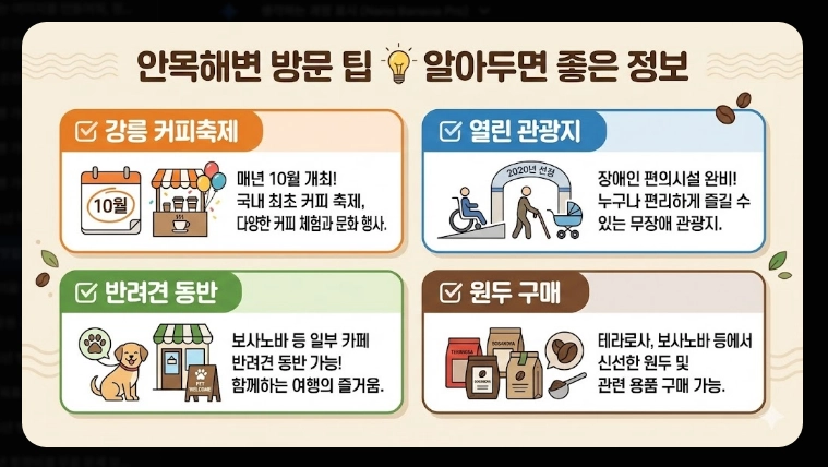 강릉 맛집 안목해변 커피거리 베스트 5 (2026 최신)