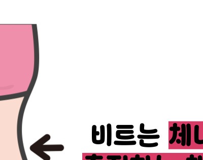 비트 효능 및부작용