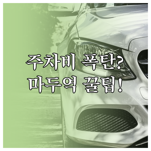 마두역 장항동 노상 공영주차장 운영 ..