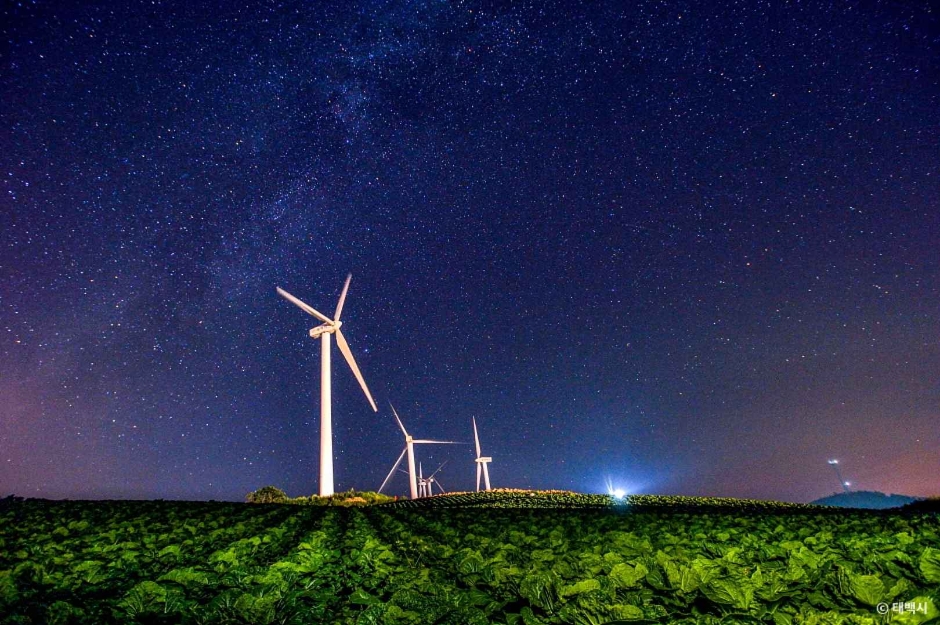태백 매봉산 바람의언덕