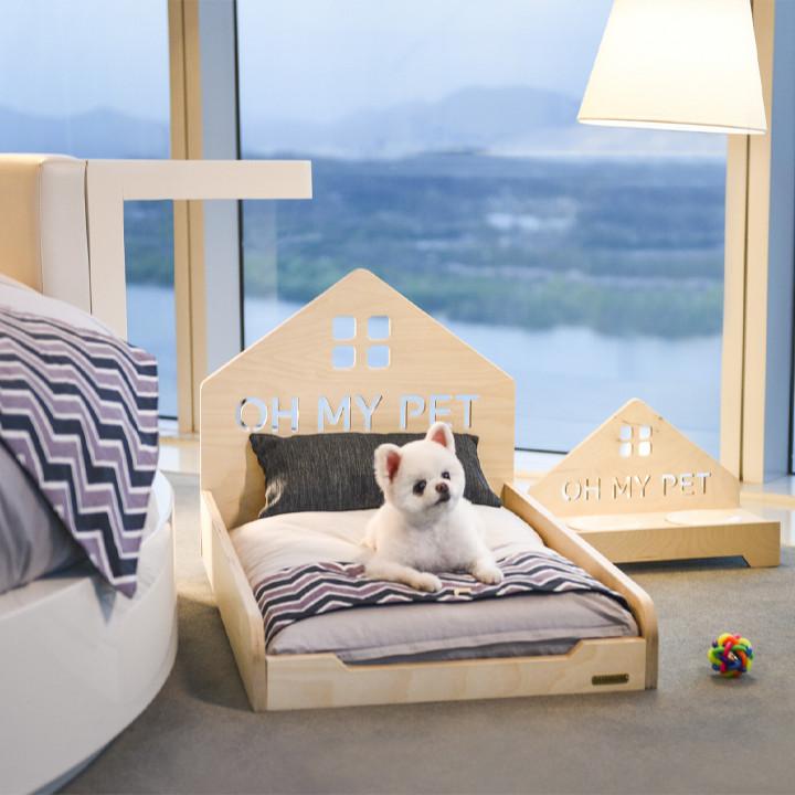 강아지와 함께 숙소에서 머무는 모습