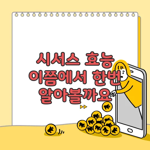 시서스 효능 이쯤에서 한번 알아볼까요