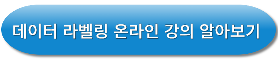 데이터 라벨링 온라인 강의 알아보기