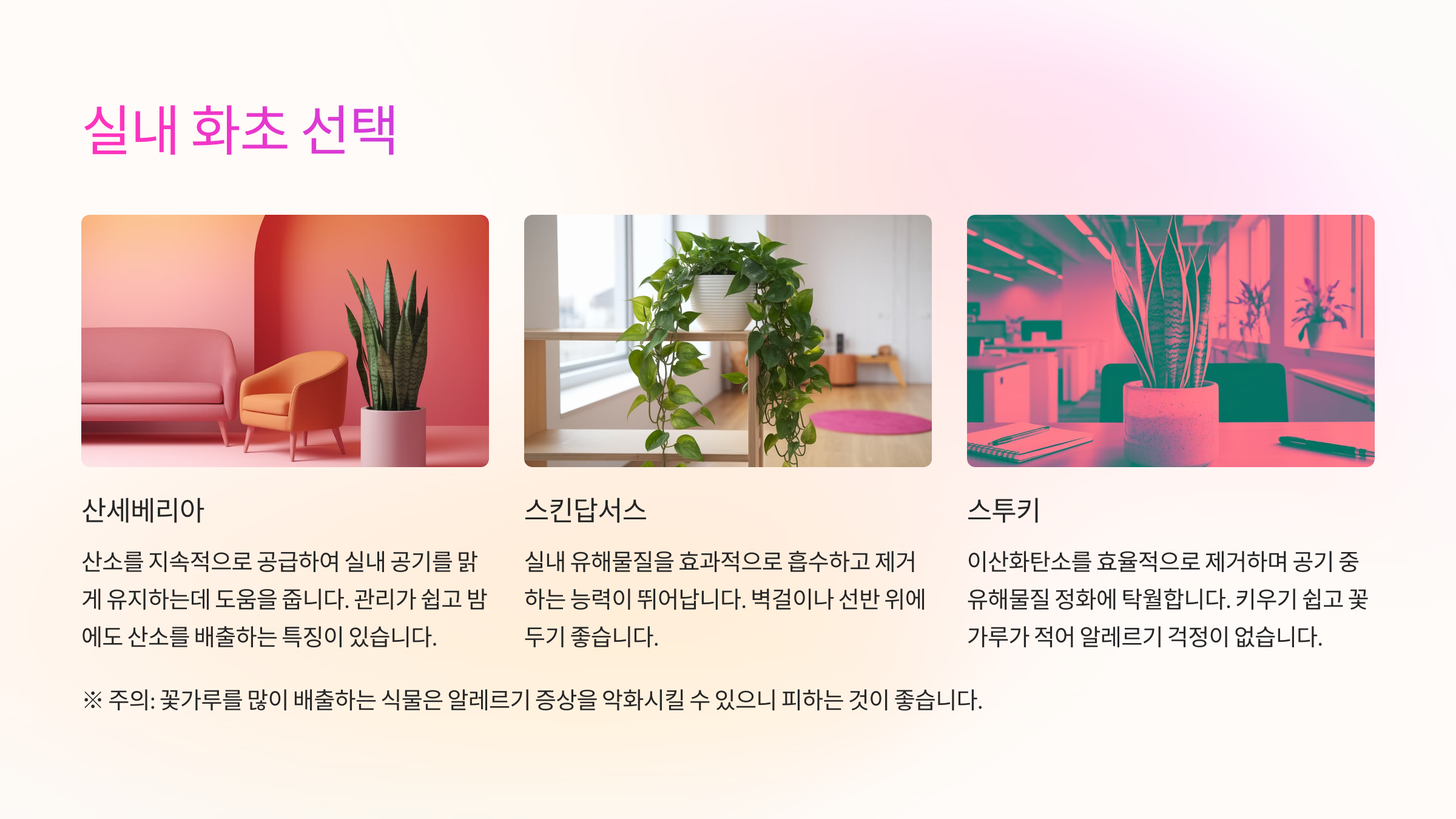 2025년 봄철 알레르기 예방을 위한 실내 공기 관리 7가지 방법