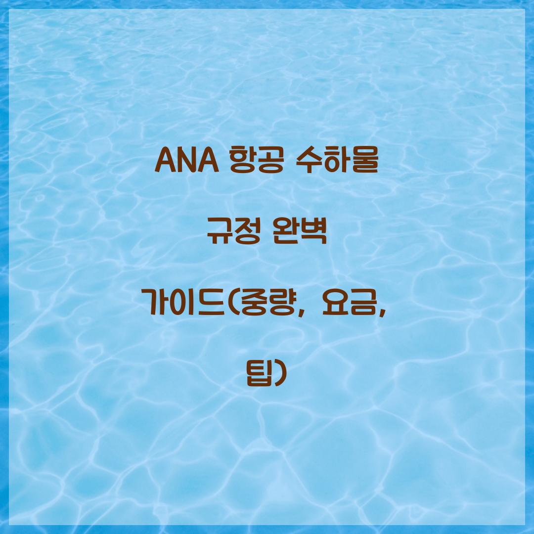 ANA 항공 수하물 규정
