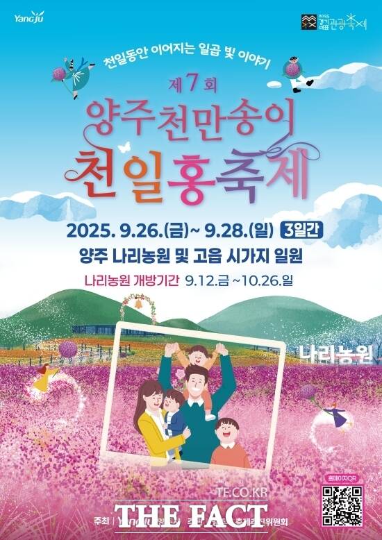 양주 천일홍축제 2025✨ 천만송이 꽃바다에서 힐링한 날