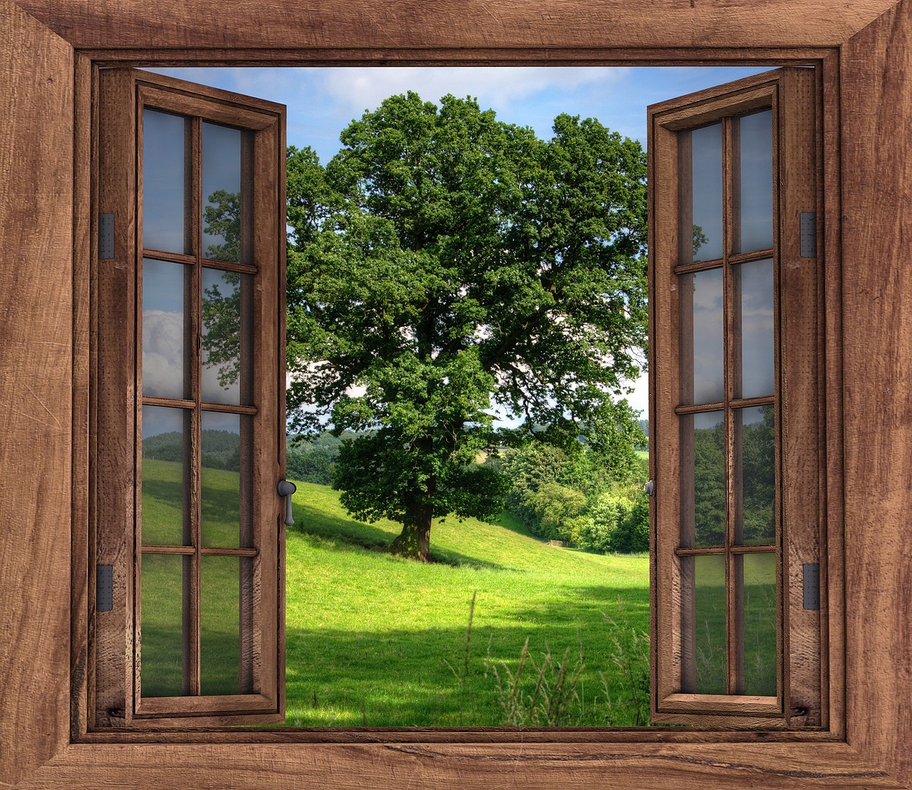 open window breeze 관련 사진