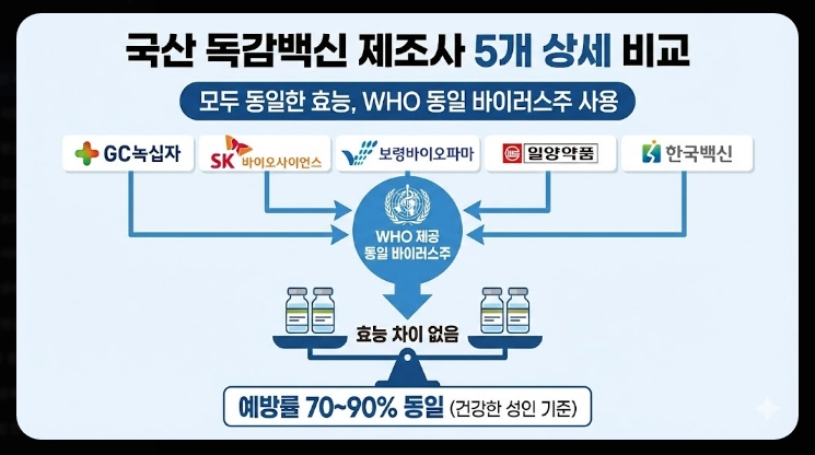 독감 백신 제조사 비교