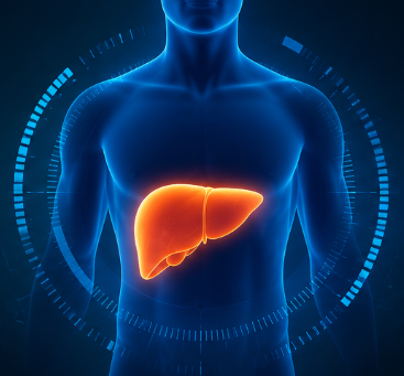 간수치 낮추는 방법은 원인 찾기부터입니다