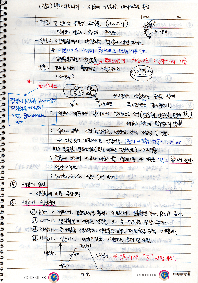 세균의 형태, 세균의 증식, 세균의 생장곡선