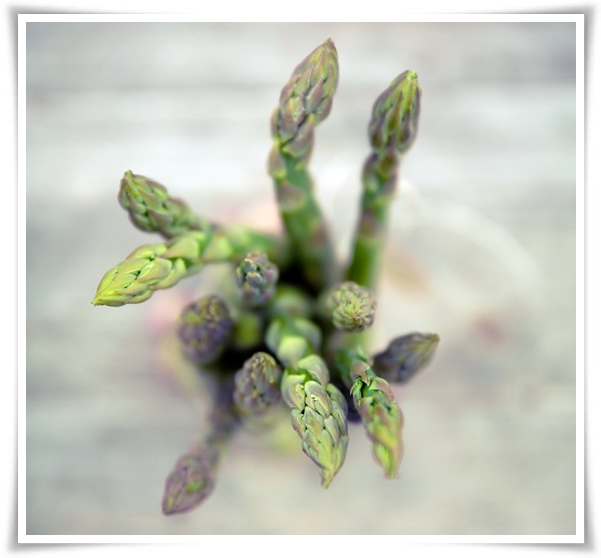 텃밭 &quot;아스파라거스 기르기&quot; 한 번 심으면 10년 동안 거두는 황금 채소!